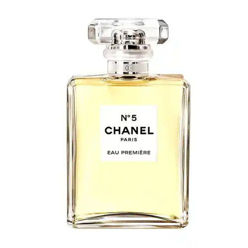 Nước Hoa Chanel No 5 Eau Premiere For Women 100ml