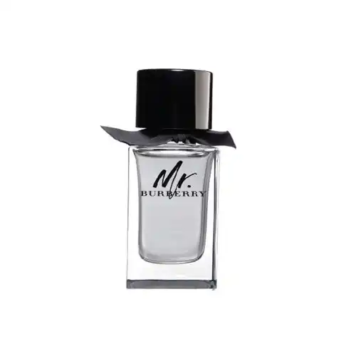 Nước Hoa Burberry Mr Burberry Men EDT 100ml