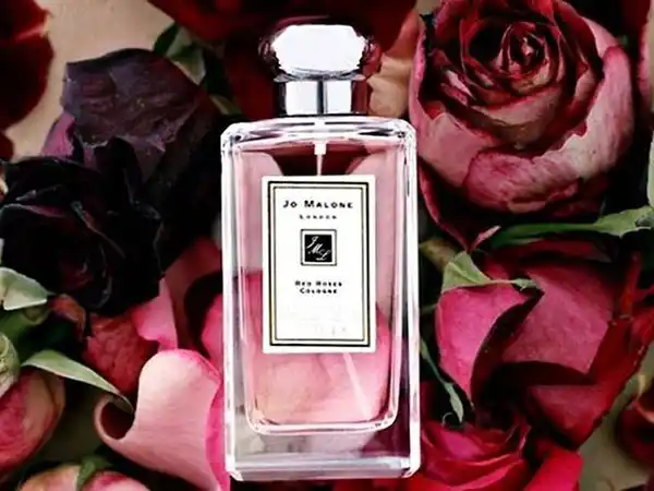 Nước Hoa Nữ Jo Malone London Red Roses Cologne EDT 100ml