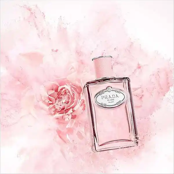 Nước Hoa Nữ Prada Les Infusion De Rose EDP 100ml