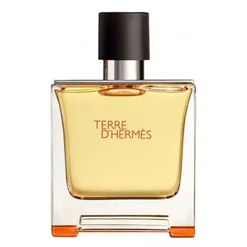 Nước Hoa Hermes Terre D'hermes Paris Parfum Pure Perfume For Men 75ml