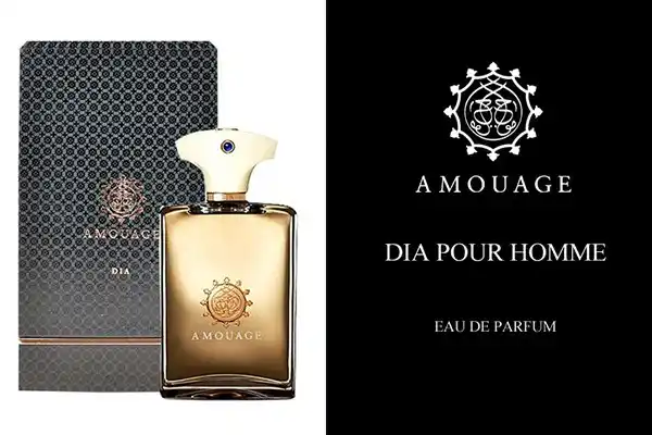 Nước Hoa Nam Amouage Dia Pour Homme EDP 100ml