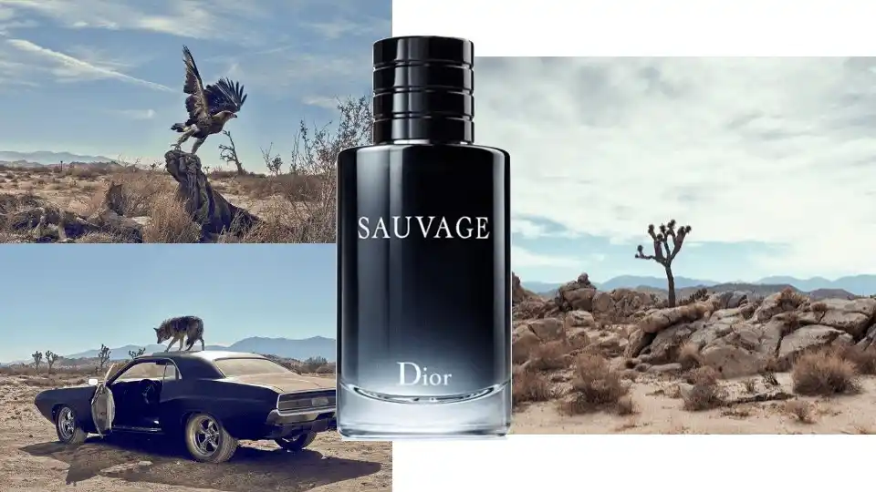 Combo Dior (Nước Hoa sauvage Edt 100ml + Son Dior Rouge 844 Trafalgar)