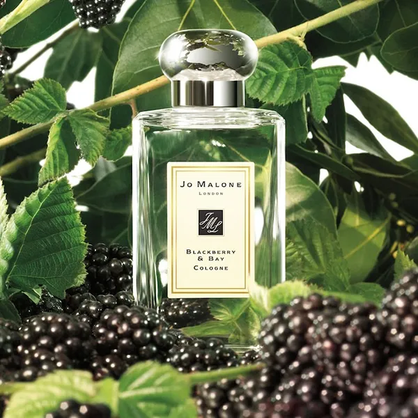 Nước Hoa Nữ Jo Malone Blackberry & Bay Cologne 100ml  