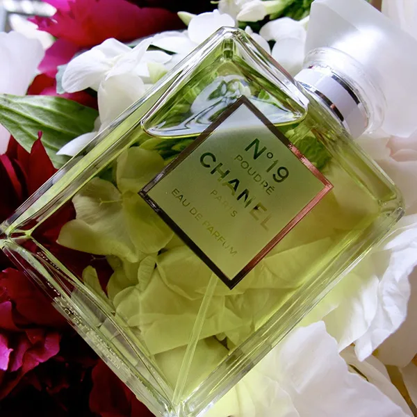 Nước Hoa Nữ Chanel No.19 Poudre EDP 100ml  