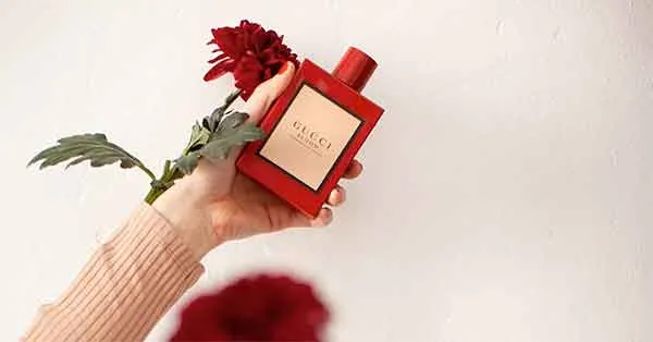 Nước Hoa Nữ Gucci Bloom Ambrosia Di Fiori EDP Intense 100ml C_TN