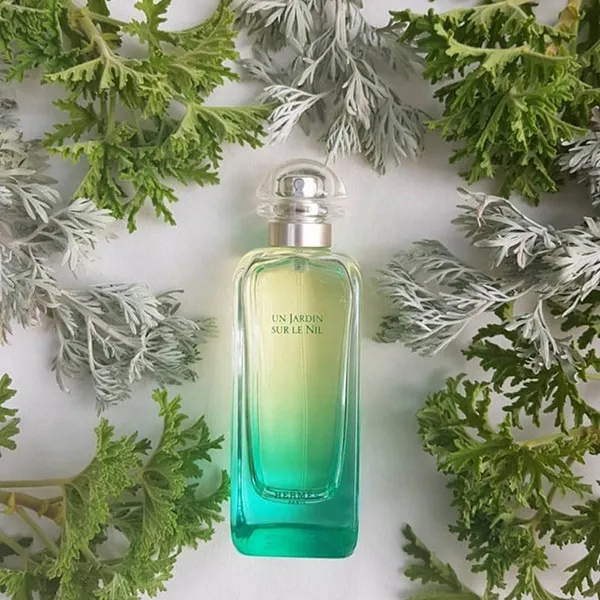 Nước Hoa Unisex Hermès Un Jardin Sur Le Nil EDT 100ml