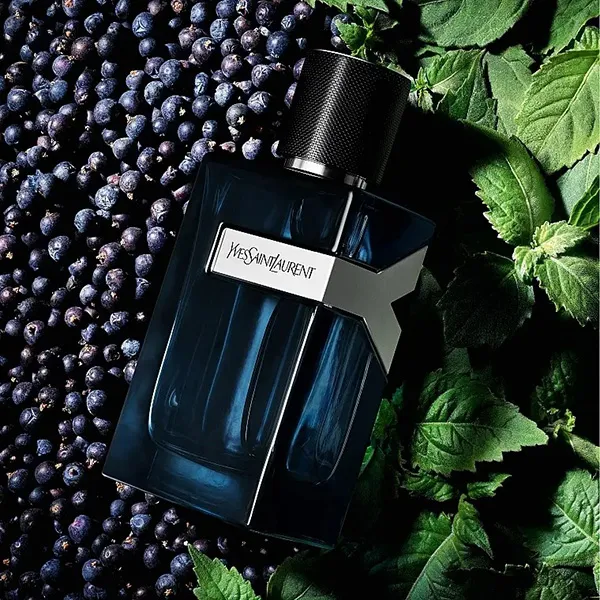 Nước Hoa Nam Yves Saint Laurent YSL Y EDP Intense 100ml