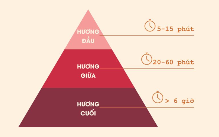 Tìm hiểu về tầng hương trong nước hoa